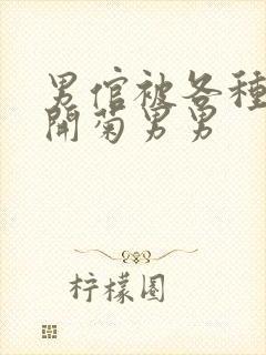 男倌被各种玉势开菊男男