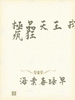 极品天王 我本疯狂