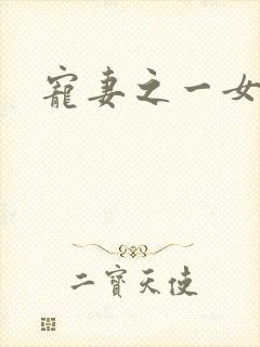 宠妻之一女二夫