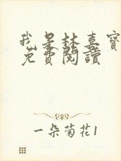 我是林喜宝小说免费阅读