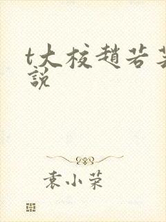 t大校赵若芸小说