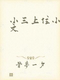 小三上位小说全文