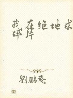 我在绝地求生捡碎片