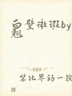 白璧微瑕by连翘