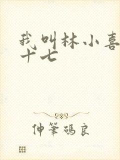 我叫林小喜今年十七