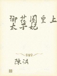 御花园皇上撞着太子妃