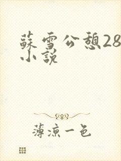 苏雪公憩28篇小说