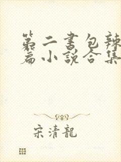 第二书包辣网短篇小说合集