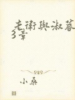 老卫与淑蓉第13章