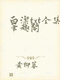 白洁txt全集笔趣阁