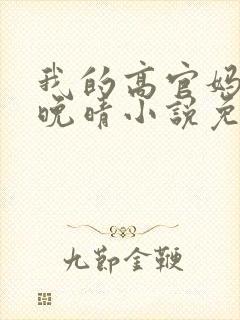 我的高官妈妈苏晚晴小说免费阅读