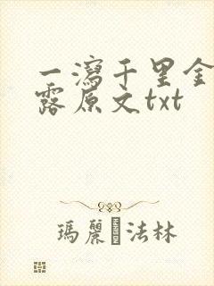 一泻千里金银花露原文txt