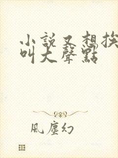 小说又想挨C了叫大声点