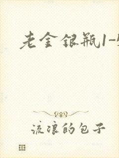 老金银瓶1-5