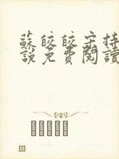 苏皎皎宋持的小说免费阅读