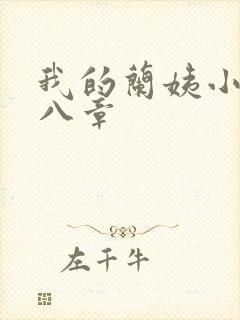 我的兰姨小说第八章