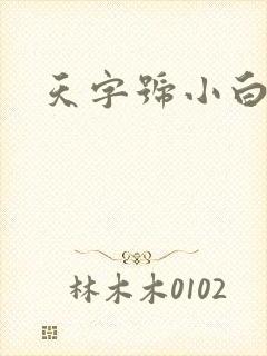 天字号小白脸