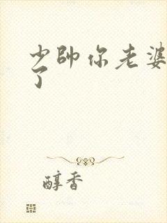 少帅你老婆又跑了