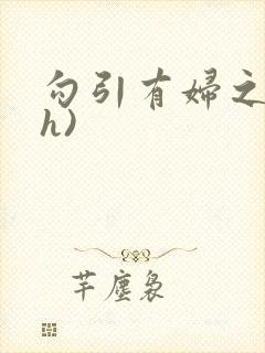 勾引有妇之夫(h)