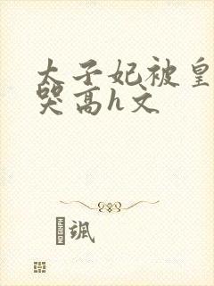 太子妃被皇上c哭高h文