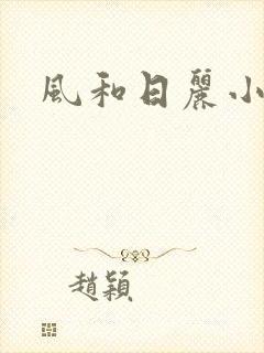 风和日丽小说