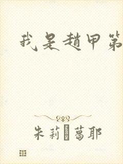 我是赵甲第小说