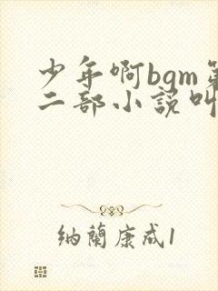 少年啊bgm第二部小说叫什么