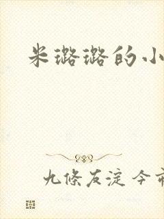 米璐璐的小说
