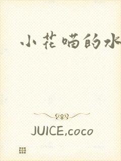 小花喵的水蜜桃