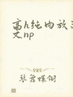 高h纯肉放荡h文np