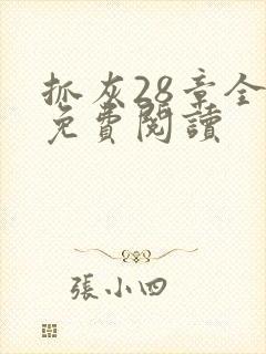 抓灰28章全部免费阅读