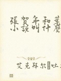张贺年和叶繁姿小说叫什么名字