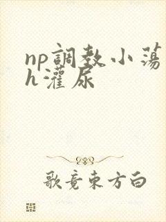 np调教小荡货h灌尿