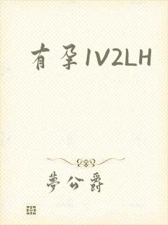 有孕1V2LH