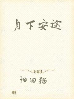 月下安途