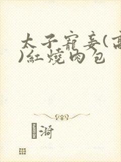 太子宠妾(高肉)红烧肉包