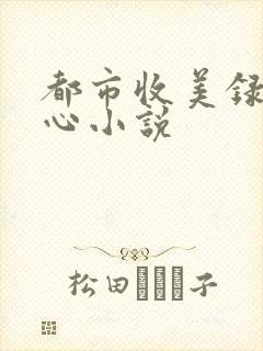 都市收美录宁素心小说