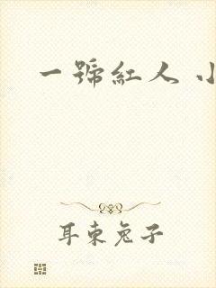 一号红人 小说