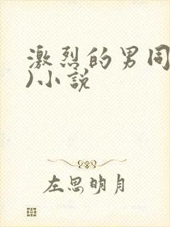 激烈的男同(h)小说