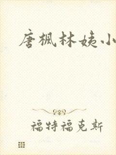 唐枫林姨小说