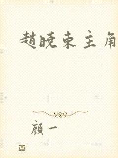 赵晓东主角小说