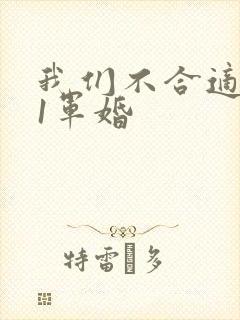 我们不合适1v1军婚