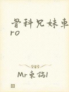 骨科兄妹车多pro