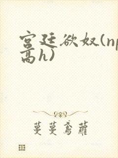 宫廷欲奴(np高h)