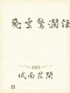 飞云惊澜录