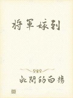 将军嫁到