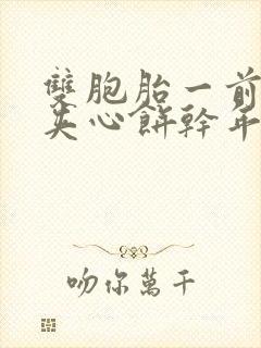 双胞胎一前一后夹心饼干年下