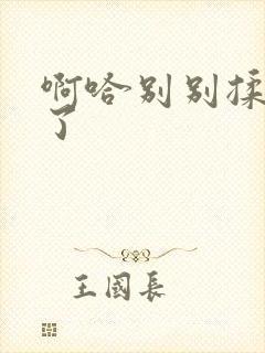 啊哈别别揉那处了