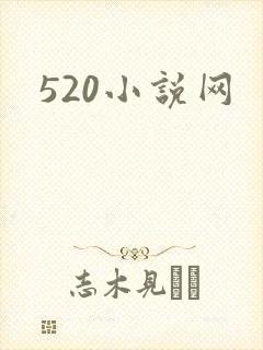 520小说网