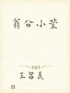 翁公小莹